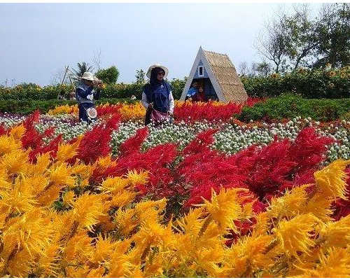 romantic garden