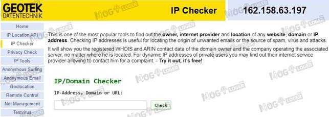 ip domain checker di ipinfo