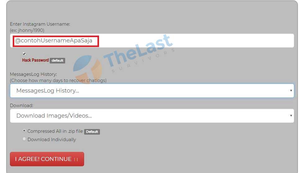 Review Instaleak: Pengertian, Fitur, & Cara Menggunakan [100% Jujur]: Pengertian, Fitur, & Cara