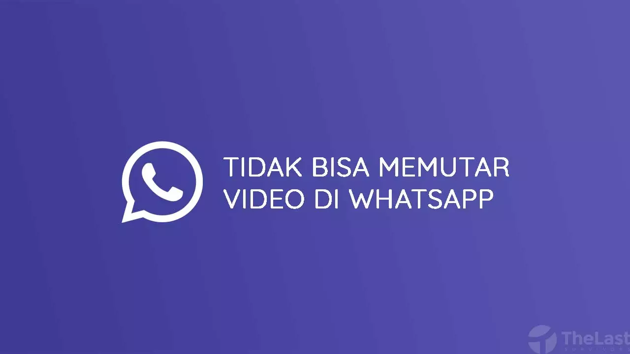 Tidak Bisa Memutar Video Di Whatsapp Android