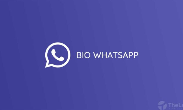 Bio Whatsapp (WA)