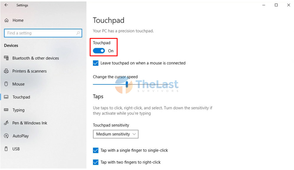 Enable Touchpad Setting