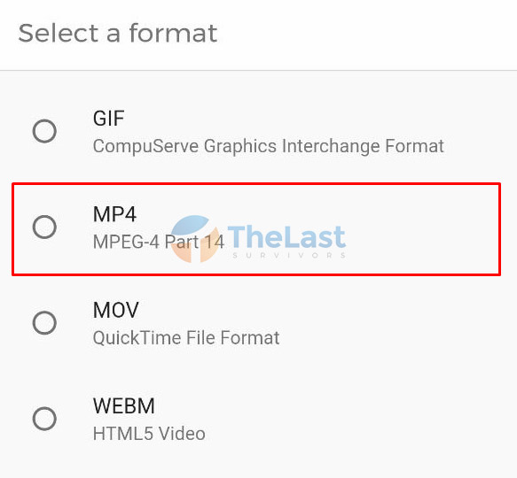 Select Format Mp4