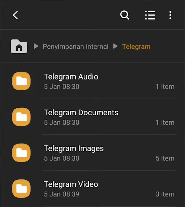 Tampil Folder Audio Dokumen Image dan Video