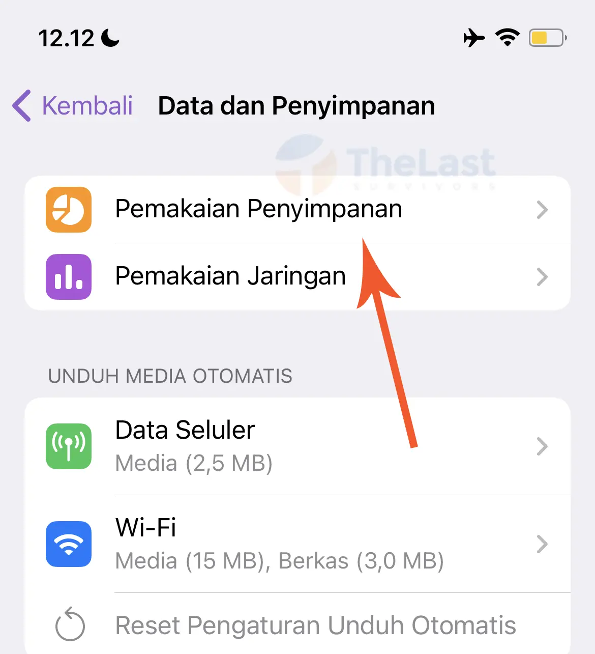 Tap Pemakaikan dan Penyimpanan Telegram iPhone