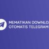 Cara Mematikan Download Otomatis di Telegram