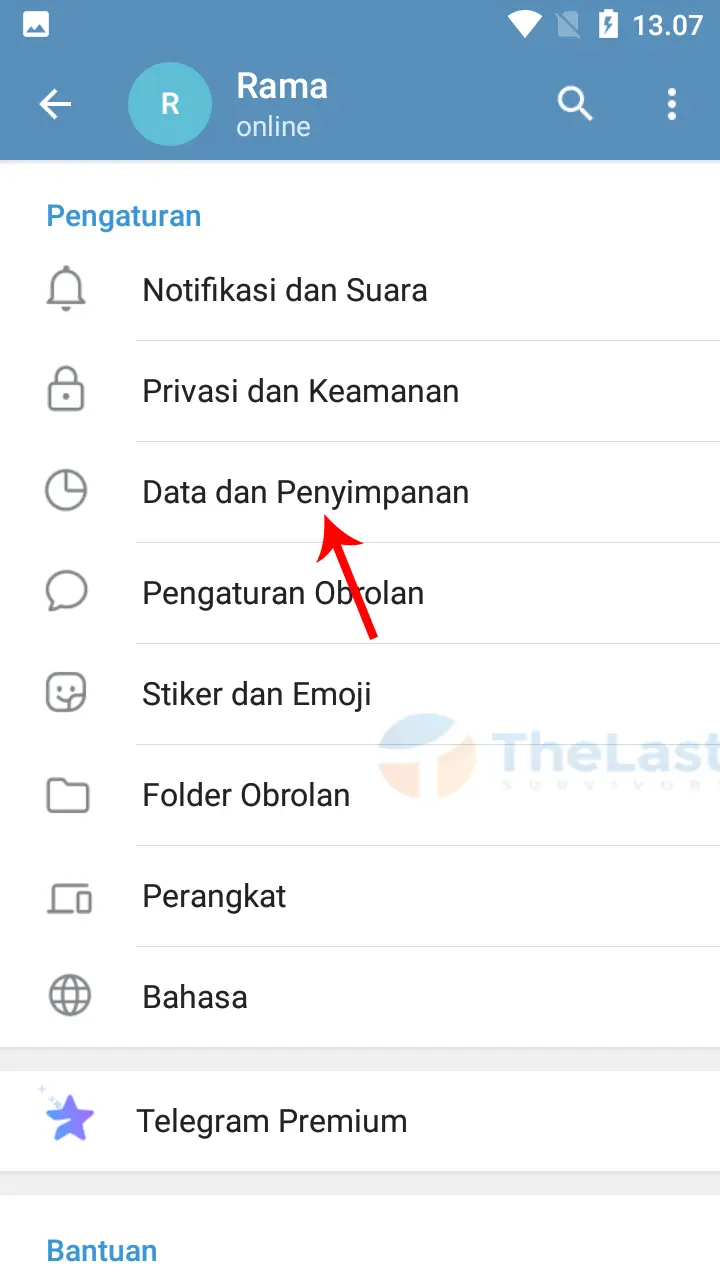Data & Penyimpanan Telegram