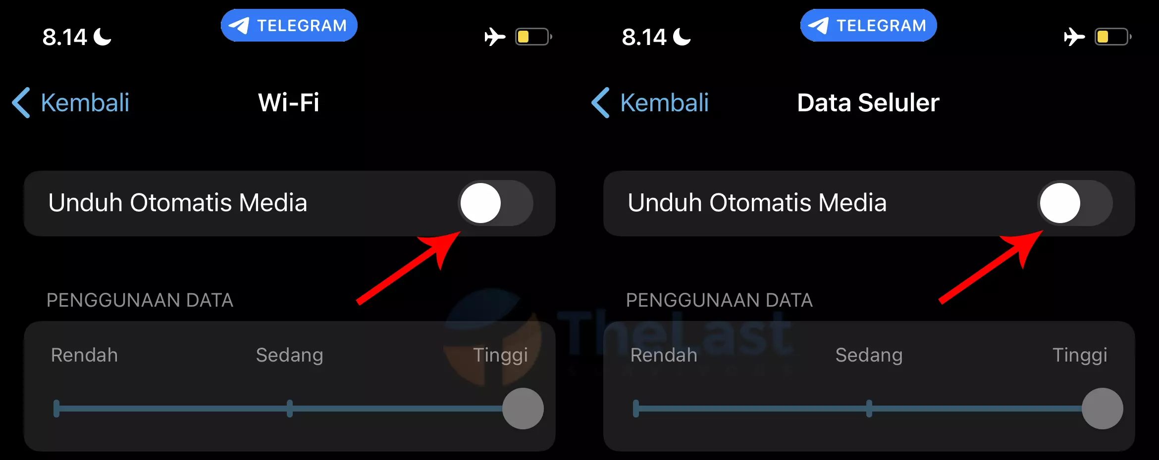 Mematikan Unduh Otomatis Media Telegram iOS