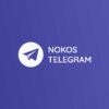 Cara Mendapatkan Nokos Telegram