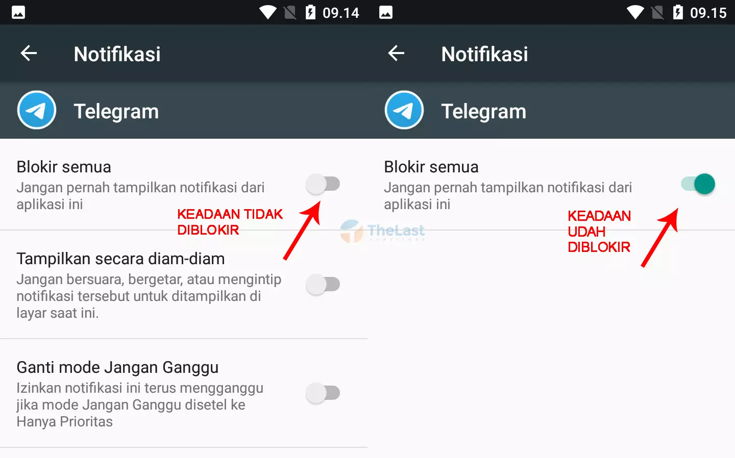 Mute Notif Telegram lewat Pengaturan HP